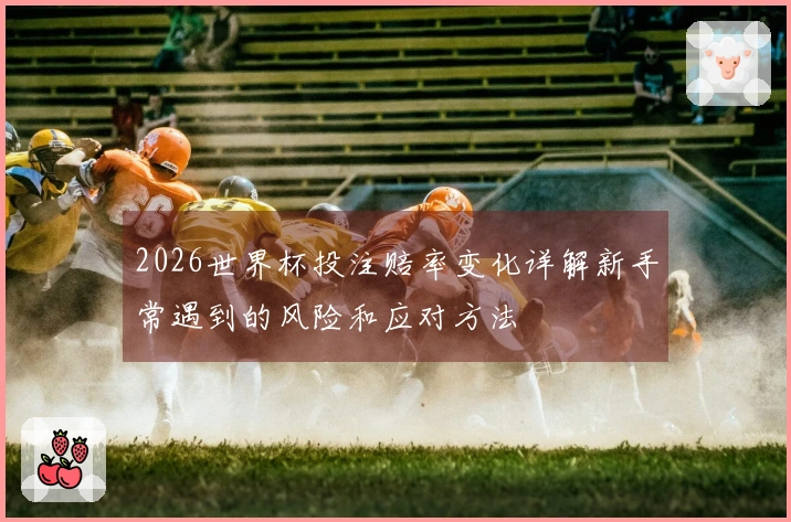 2026世界杯投注赔率变化详解新手常遇到的风险和应对方法