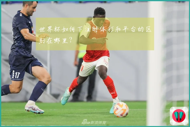 世界杯如何下注时体彩和平台的区别在哪里？