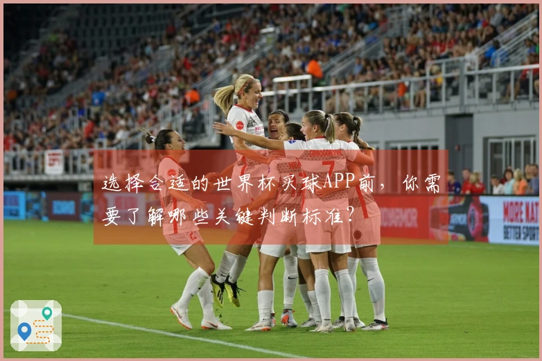 选择合适的世界杯买球APP前，你需要了解哪些关键判断标准？
