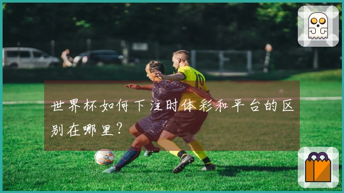 世界杯如何下注时体彩和平台的区别在哪里？