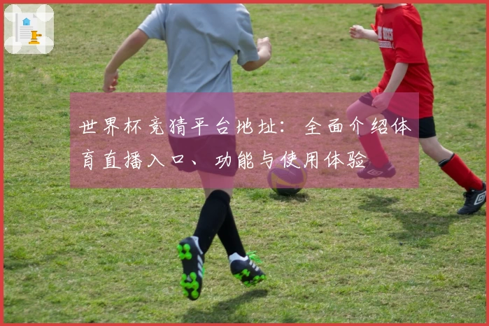 世界杯竞猜平台地址：全面介绍体育直播入口、功能与使用体验