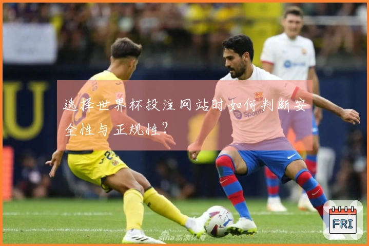 选择世界杯投注网站时如何判断安全性与正规性？