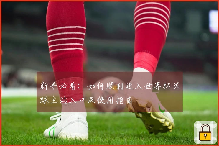 新手必看：如何顺利进入世界杯买球主站入口及使用指南