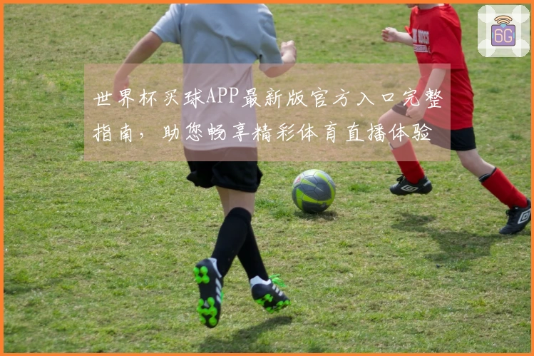 世界杯买球APP最新版官方入口完整指南，助您畅享精彩体育直播体验