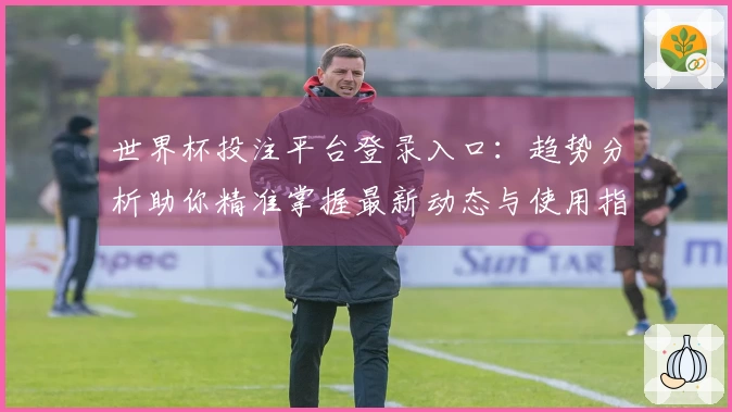 世界杯投注平台登录入口：趋势分析助你精准掌握最新动态与使用指南