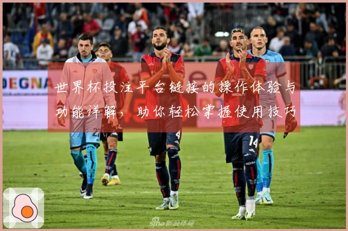 世界杯投注平台链接的操作体验与功能详解，助你轻松掌握使用技巧