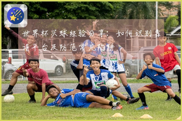 世界杯买球经验分享：如何识别靠谱平台及防范常见陷阱