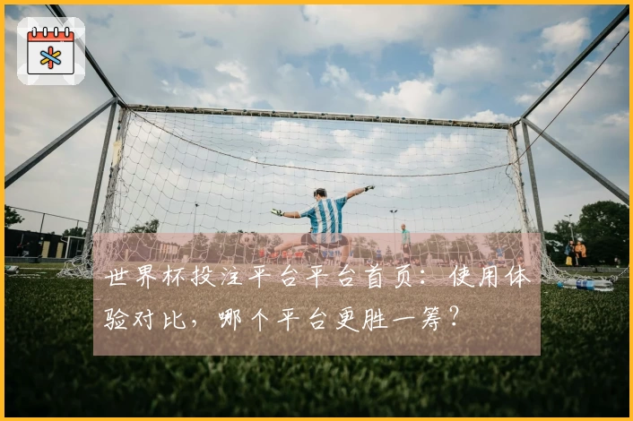 世界杯投注平台平台首页：使用体验对比，哪个平台更胜一筹？