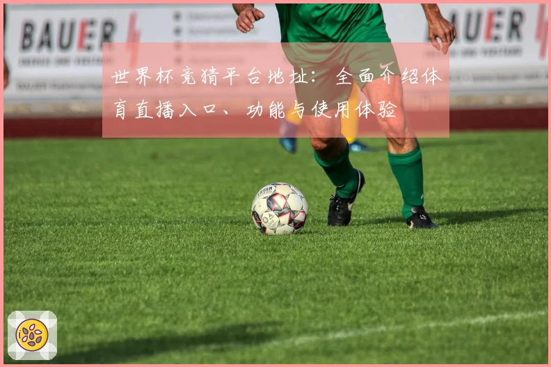 世界杯竞猜平台地址：全面介绍体育直播入口、功能与使用体验