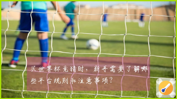 买世界杯竞猜时，新手需要了解哪些平台规则和注意事项？
