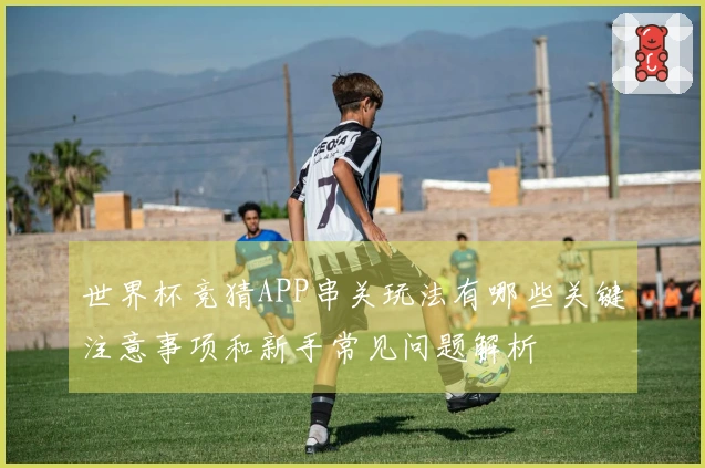 世界杯竞猜APP串关玩法有哪些关键注意事项和新手常见问题解析