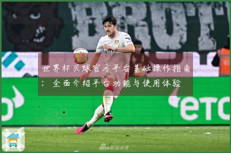 世界杯买球官方平台基础操作指南:全面介绍平台功能与使用体验