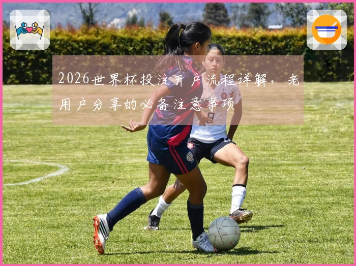 2026世界杯投注开户流程详解，老用户分享的必备注意事项