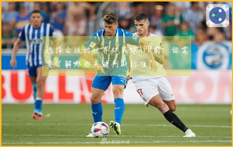 选择合适的世界杯买球APP前，你需要了解哪些关键判断标准？