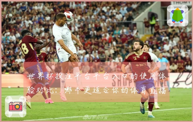 世界杯投注平台平台入口的使用体验对比：哪个更适合你的体育直播需求？