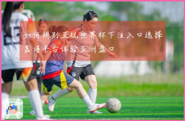 如何辨别正规世界杯下注入口选择靠谱平台体验亚洲盘口