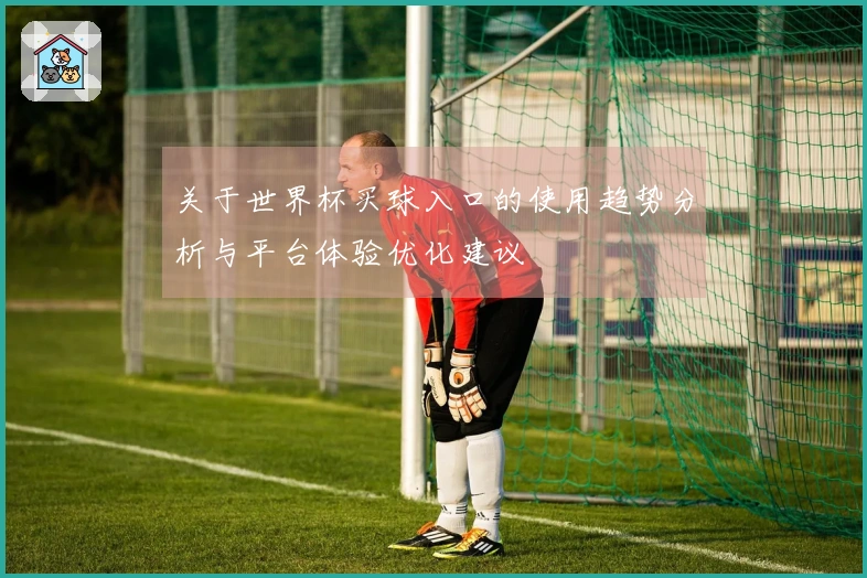 关于世界杯买球入口的使用趋势分析与平台体验优化建议