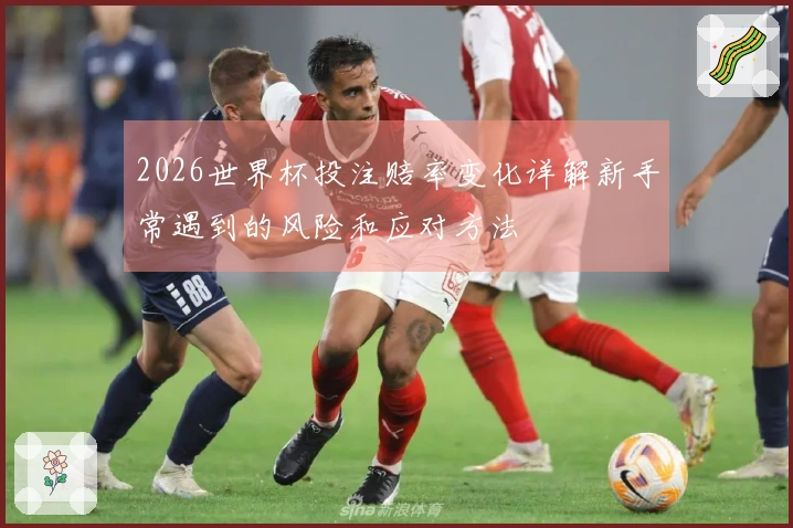 2026世界杯投注赔率变化详解新手常遇到的风险和应对方法