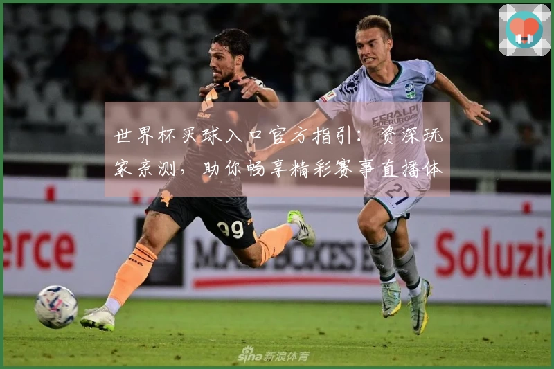世界杯买球入口官方指引：资深玩家亲测，助你畅享精彩赛事直播体验