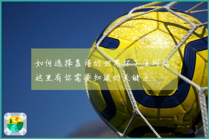 如何选择靠谱的世界杯下注网站？这里有你需要知道的关键点