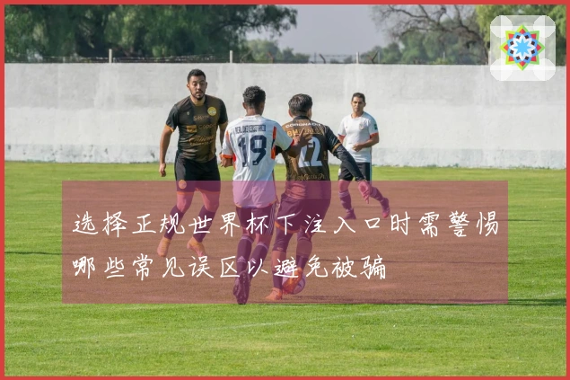 选择正规世界杯下注入口时需警惕哪些常见误区以避免被骗