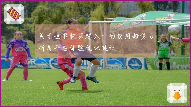关于世界杯买球入口的使用趋势分析与平台体验优化建议