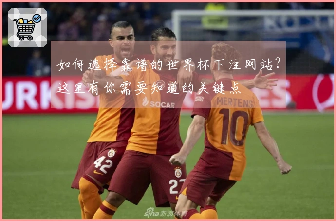如何选择靠谱的世界杯下注网站？这里有你需要知道的关键点