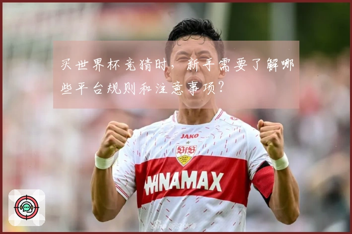 买世界杯竞猜时，新手需要了解哪些平台规则和注意事项？