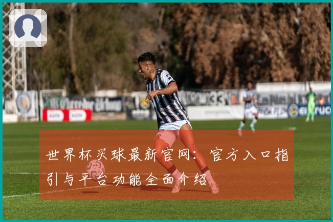 世界杯买球最新官网：官方入口指引与平台功能全面介绍